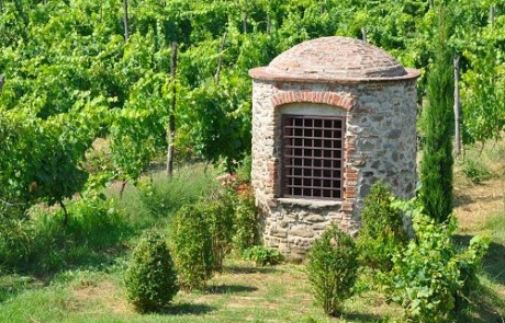 Old Hell in the garden